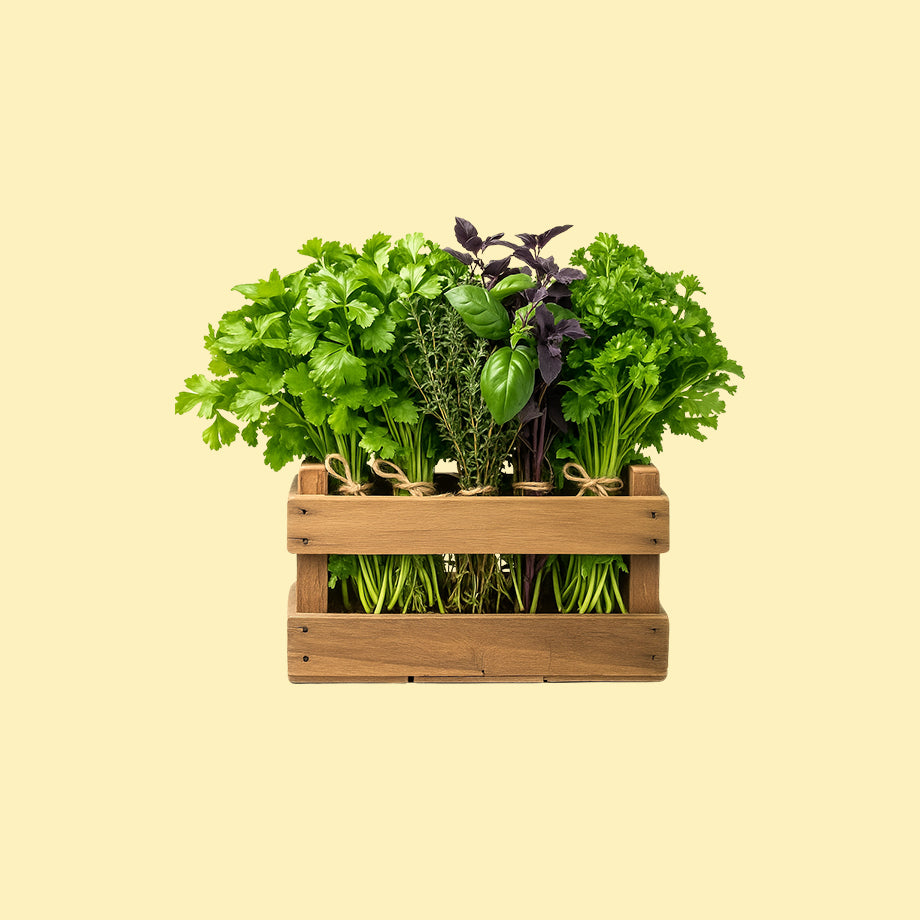 Herbs