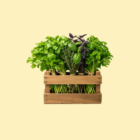 Herbs
